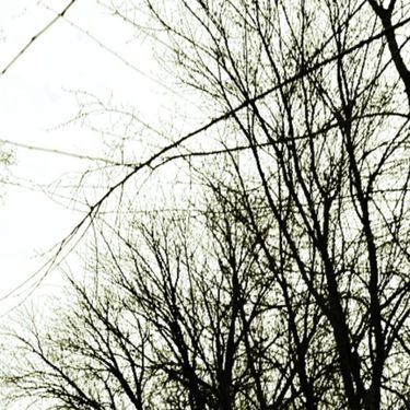 leverfall - Lethargic