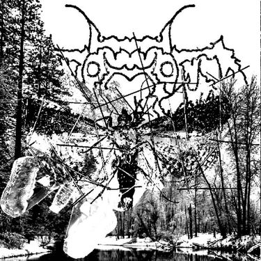 MOTH - MOTH