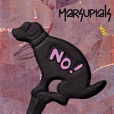 Marsupials - NO!