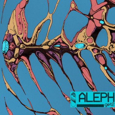 ALEPH - GET2
