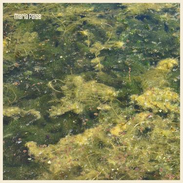 False Maria - When