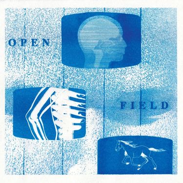 Eggy - Open Field