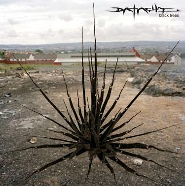 Datach'i - Black Trees