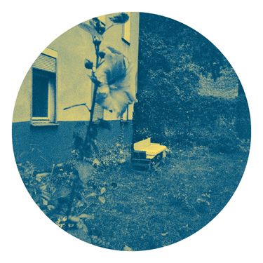 Pasc&auml;al - No Pain
