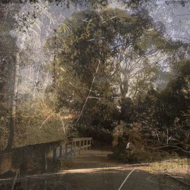 BennyBob - TRANQUILO
