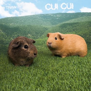 Traw - Cui Cui