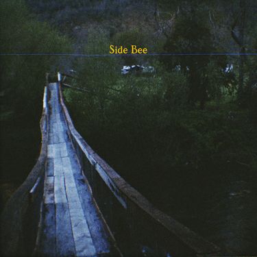 Albert - Side Bee