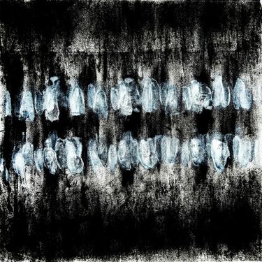 Teeth - teeth