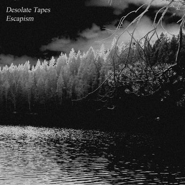 Desolate Tapes - Escapism