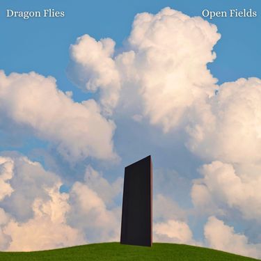 Dragon Flies - Open Fields