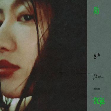 Chen Li - 防沉迷