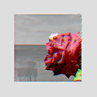 Kudasai - Falling