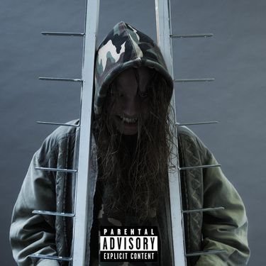 shosharascal - shosharascal