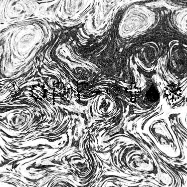 .cr0pdust - 2///identical