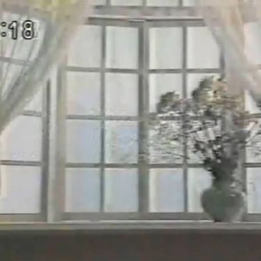 セルシオ [Serushio] - window