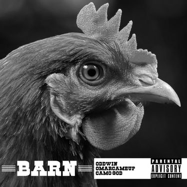 Oddwin - Barn