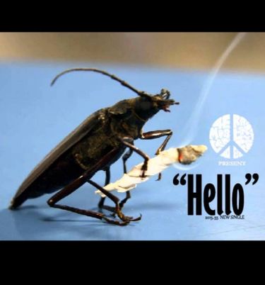 Juu4e - Hello