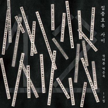 정태춘 & 박은옥 - 집중호우 사이