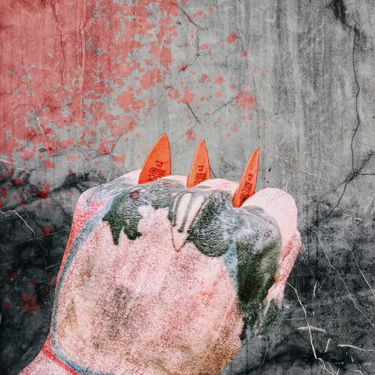 Reverse Pathogen - Bleed For This