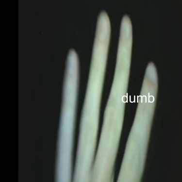 Sipper - dumb