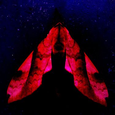 Parvāne - Parvāne