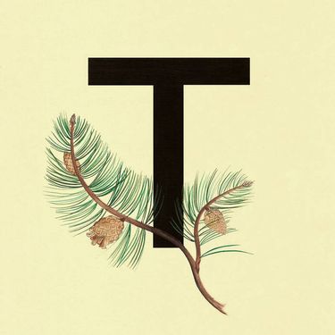 Труд - 1