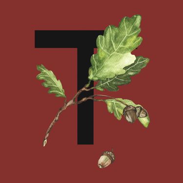 Труд - 5