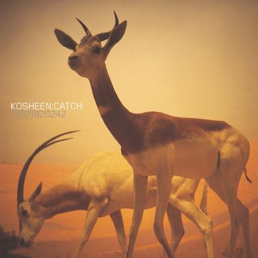 Kosheen - Catch