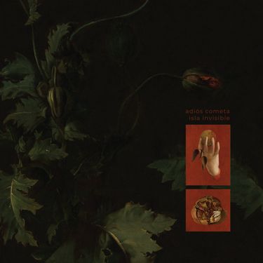 Adiós Cometa & Isla Invisible - Split