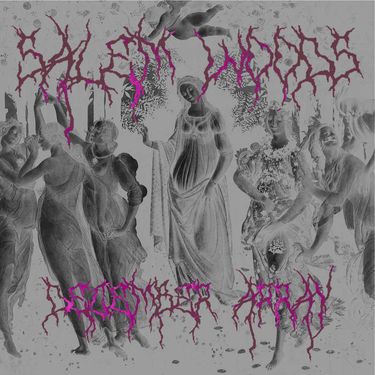 Salem Woods - DECEMBER ARRAY*