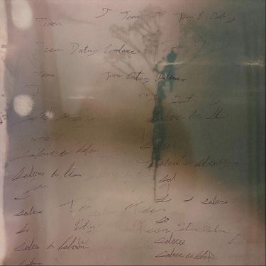 Solace In Bloom & Teen Dating Violence - Split