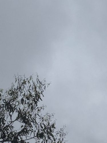 raining. - IV