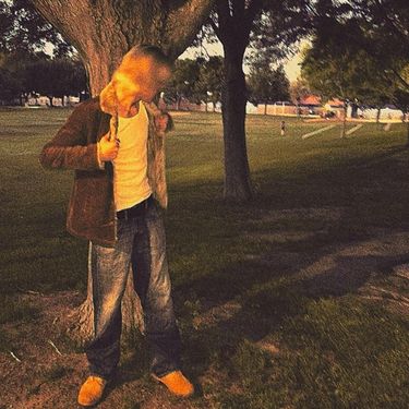 abe - petrified