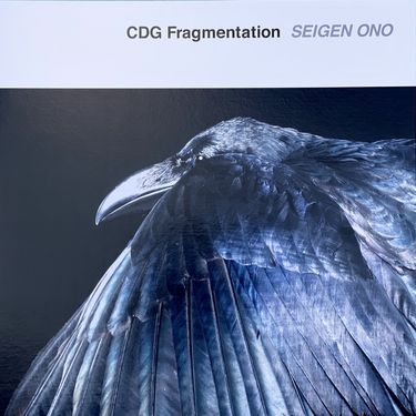 オノ セイゲン [Seigen Ono] - CDG Fragmentation