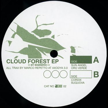 Bigeneric - Cloud Forest EP