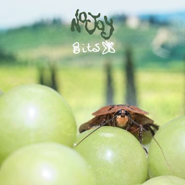No Joy - Bits