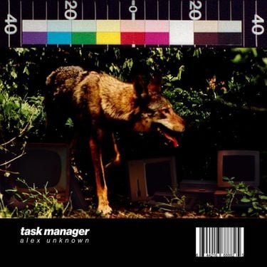 Alex Unknown - Task Manager