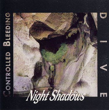 Controlled Bleeding & Dive - Night Shadows