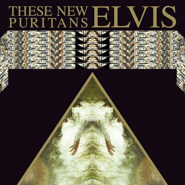 These New Puritans - Elvis