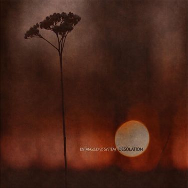 Entangled System - Desolation