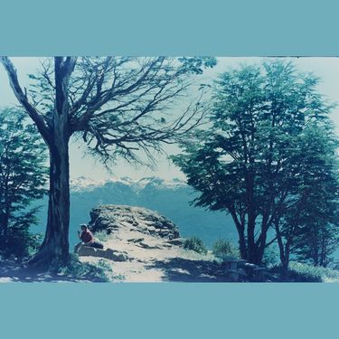 forestar - forestar