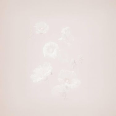 dottie - intention