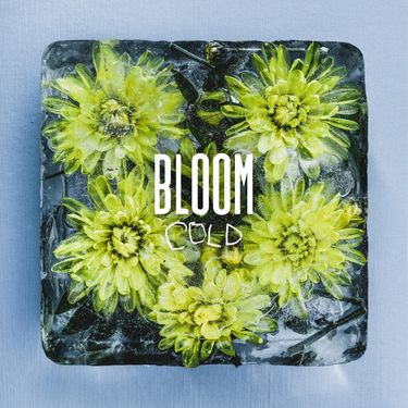 Bloom - Cold