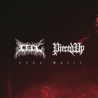 Cell & Pieced Up - 2022 Split