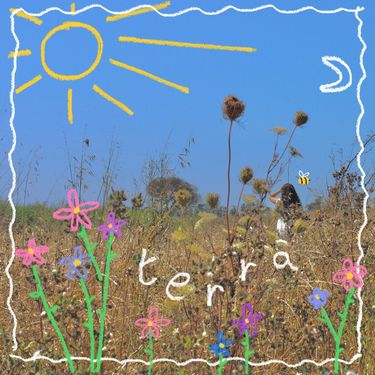 Bee - terra