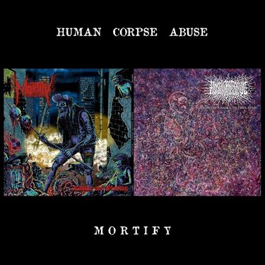 Human Corpse Abuse & Mortify - Split