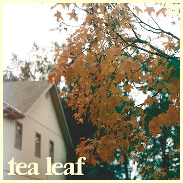 Tea Leaf - Tea Leaf