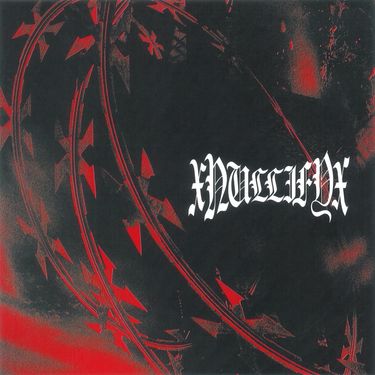 XNullifyx - XNullifyx
