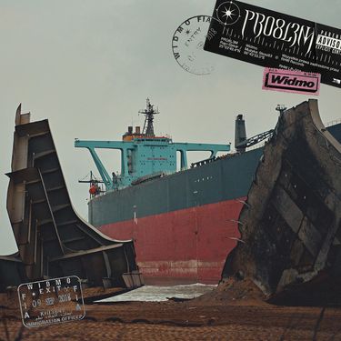 PRO8L3M - WIDMO