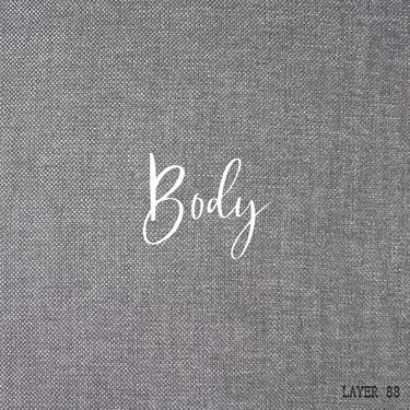 LAYER 88 - LAYER 'Body'